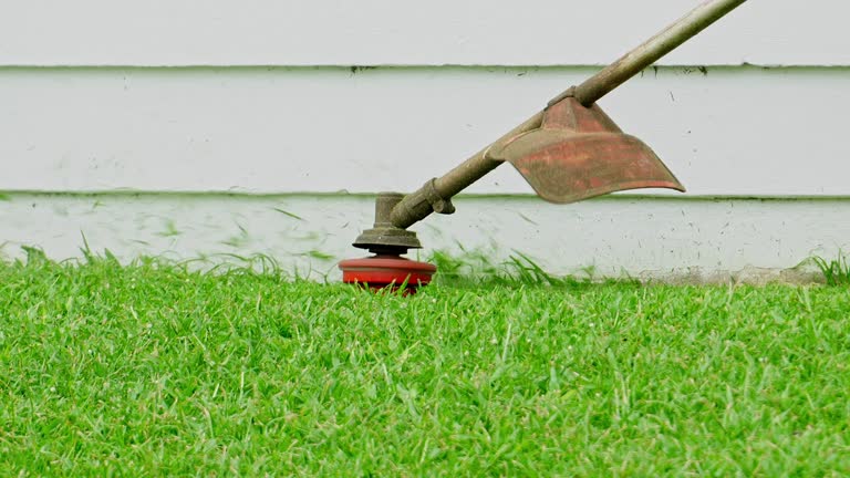 Best Lawn Irrigation Installation and Maintenance  in Poplar Cotton Center, CA